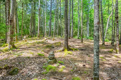 17 Denning Brook Road, Mount Desert, ME 04660 - Photo 40
