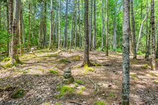 17 Denning Brook Rd, Mount Desert, ME 04660 - Photo 40