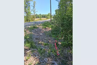 Tbd Dingley Road, Bowdoinham, ME 04008 - Photo 6