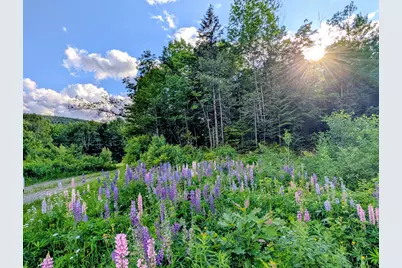147 Calvin Gray Road, Madrid Twp, ME 04966 - Photo 56