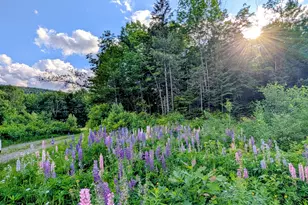 147 Calvin Gray Rd, Madrid Twp, ME 04966 - Photo 56