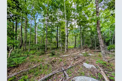 147 Calvin Gray Road, Madrid Twp, ME 04966 - Photo 62