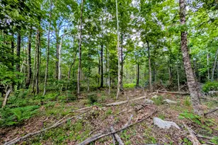 147 Calvin Gray Rd, Madrid Twp, ME 04966 - Photo 62
