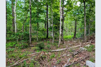 147 Calvin Gray Road, Madrid Twp, ME 04966 - Photo 60