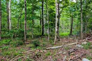 147 Calvin Gray Rd, Madrid Twp, ME 04966 - Photo 60