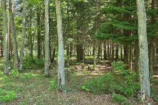 81 Spruce Rd, Rockwood T1 R1 NBKP, ME 04478 - Photo 52
