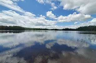 115 Shorey Brook Ln, Beddington, ME 04622 - Photo 2