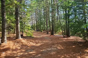 115 Shorey Brook Ln, Beddington, ME 04622 - Photo 28