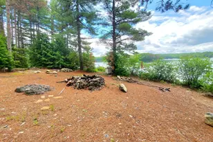 115 Shorey Brook Ln, Beddington, ME 04622 - Photo 38