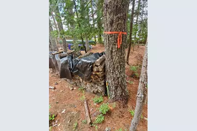 115 Shorey Brook Lane, Beddington, ME 04622 - Photo 46