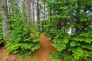 115 Shorey Brook Ln, Beddington, ME 04622 - Photo 42