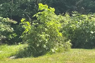 1363 US Route 2 W, Wilton, ME 04294 - Photo 74