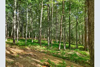 Part Of Map 26 Lot 46 & 48 Mullins Bog Road, Lincolnville, ME 04849 - Photo 8