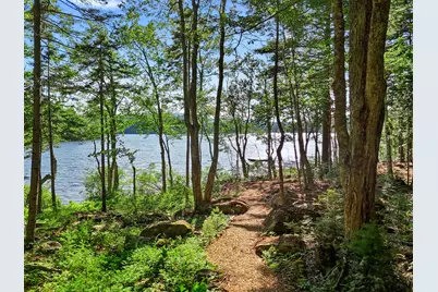 Part Of Map 26 Lot 46 & 48 Mullins Bog Road, Lincolnville, ME 04849 - Photo 6
