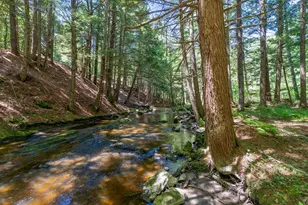 22 Montgomery Rd, Windham, ME 04062 - Photo 54