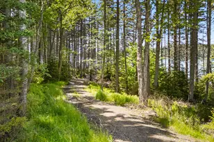 371 Gay Island, Cushing, ME 04563 - Photo 52