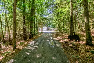 10 Bear Point Rd, Harrison, ME 04040 - Photo 8
