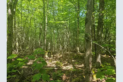 Lot 1 Martins Ridge Road, Franklin, ME 04634 - Photo 14