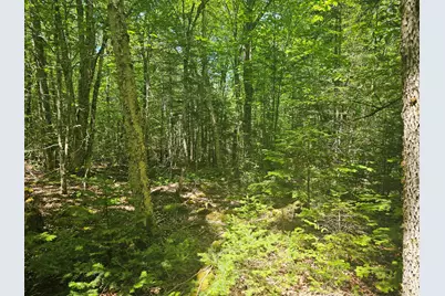 Lot 1 Martins Ridge Road, Franklin, ME 04634 - Photo 12