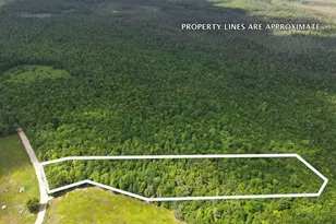 Lot 1 Martins Ridge Rd, Franklin, ME 04634 - Photo 1