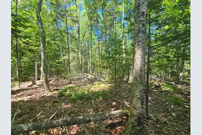 Lot 1 Martins Ridge Road, Franklin, ME 04634 - Photo 6