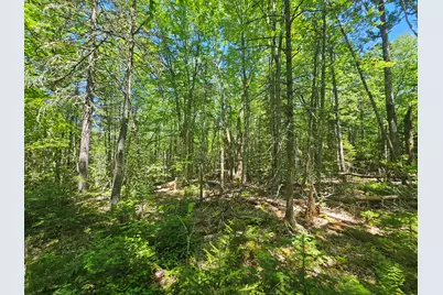 Lot 1 Martins Ridge Road, Franklin, ME 04634 - Photo 10