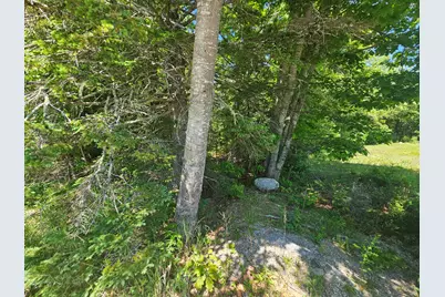 Lot 1 Martins Ridge Road, Franklin, ME 04634 - Photo 4