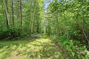72 Cobble Hill Rd, Paris, ME 04281 - Photo 66