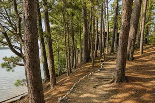 #36 Snake Island, Beaver Cove, ME 04441 - Photo 48