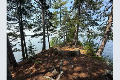 #36 Snake Island, Beaver Cove, ME 04441 - Photo 32