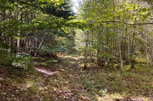 M5 L15B Suckertown Rd, Amity, ME 04471 - Photo 24