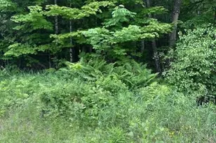 3-3-A Ave Rd, Corinth, ME 04427 - Photo 1