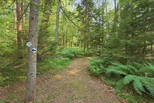 339 Fowler Rd, Cape Elizabeth, ME 04107 - Photo 54