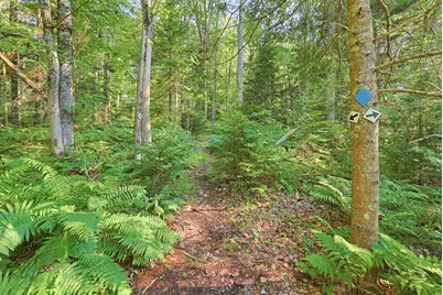 339 Fowler Road, Cape Elizabeth, ME 04107 - Photo 56