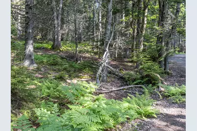 10 Island Retreat Road, Swans Island, ME 04685 - Photo 2