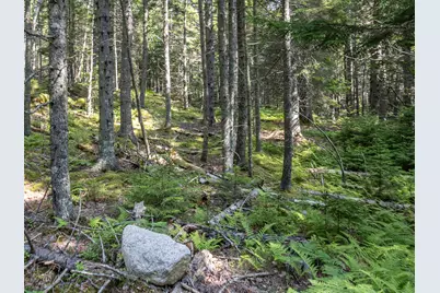 10 Island Retreat Road, Swans Island, ME 04685 - Photo 8