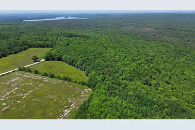 Lot 2 Martins Ridge Road, Franklin, ME 04634 - Photo 6