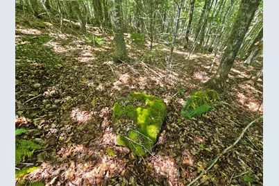 Lot 2 Martins Ridge Road, Franklin, ME 04634 - Photo 8