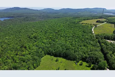 Lot 2 Martins Ridge Road, Franklin, ME 04634 - Photo 4