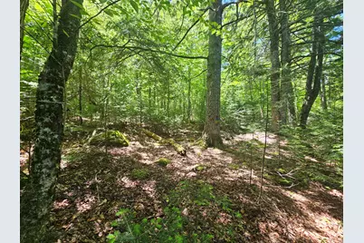 Lot 3 Martins Ridge Road, Franklin, ME 04634 - Photo 6