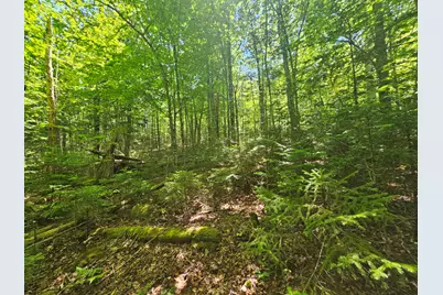 Lot 3 Martins Ridge Road, Franklin, ME 04634 - Photo 8
