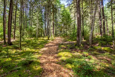 12 Pretty Marsh Road, Mount Desert, ME 04660 - Photo 36