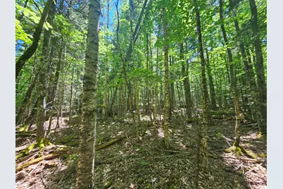 Lot 4 Martins Ridge Road, Franklin, ME 04634 - Photo 14