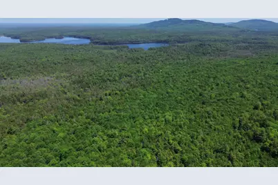 Lot 4 Martins Ridge Road, Franklin, ME 04634 - Photo 6
