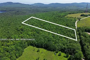 Lot 4 Martins Ridge Rd, Franklin, ME 04634 - Photo 1