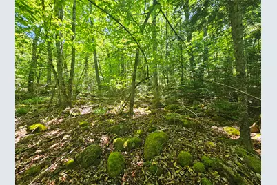 Lot 4 Martins Ridge Road, Franklin, ME 04634 - Photo 8