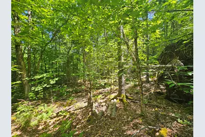 Lot 4 Martins Ridge Road, Franklin, ME 04634 - Photo 10