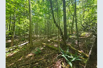 Lot 4 Martins Ridge Road, Franklin, ME 04634 - Photo 12