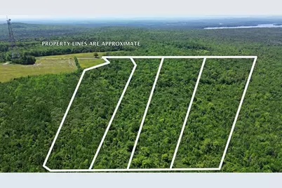 Lot 4 Martins Ridge Road, Franklin, ME 04634 - Photo 16
