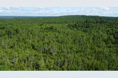030-007 Cardville Road, Greenbush, ME 04418 - Photo 8